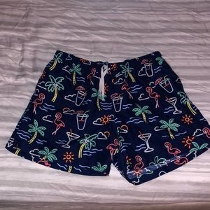 Chubbies swim trunks